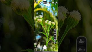 Best Config for LMC ।GCAM XML [upl. by Eisenstark57]