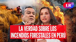 INCENDIOS FORESTALES arrasan bosques y tierras agrícolas en PERÚ ¿Qué responde DINA y ADRIANZÉN [upl. by Paschasia]