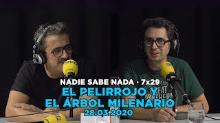 NADIE SABE NADA 7x29  El pelirrojo y el árbol milenario [upl. by Angid231]