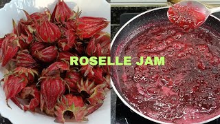 तीन ingredients से बन कर तैयार है Roselle Jam  Roselle Jam  kudrum Jam  Jam  Rasoibiharki [upl. by Girvin]