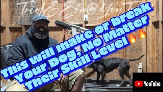 The 1 Key Factor That Determines Your Dogs Performance [upl. by Annatsirhc]