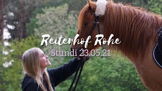 Reiterhof Rohe  Stundenreiter 23052021 ♥️ [upl. by Kerekes]