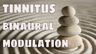 Neuromodulation Tinnitus Binaural Beats For Tinnitus INSTANT Relief [upl. by Agarhs]