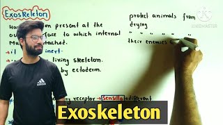 Exoskeleton  Exoskeleton class 2nd year  Fsc 2nd year biology [upl. by Haidabo]