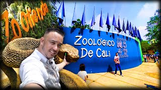 ZOOLOGICO DE CALICOLOMBIA [upl. by Borreri27]