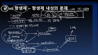 균 vs 항생제  항생제 내성의 문제 [upl. by Nylirret]