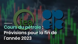 Cours du pétrole  Prévisions pour la fin de lannée 2023 [upl. by Methuselah]