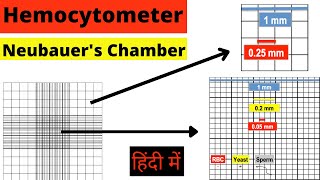 Hemocytometer  Neubauer chamber  RBC count  WBC count  Cell Count  Calculation  Hindi mlt [upl. by Sandor]