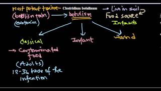 Clostridium botulinum infection [upl. by Pacificia890]