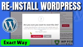 how to clean wordpress and start over 2024  Reinstall wordpress [upl. by Ellene394]