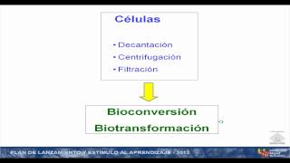 umh1399 Lec0013b Bioconversiones [upl. by Ecnedac763]