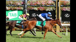 Flemington  2024 Australian Cup Day Tips CRACKING DAY OF RACING AHEAD 30324 [upl. by Row]