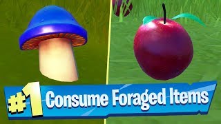 Consume Foraged Items Locations  Fortnite Battle Royale Hide and Seek Challenge [upl. by Yrojram652]