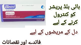 zestril tablet uses in Urdu hypertension zestril 10 mg lisinopril for high blood pressure [upl. by La Verne]