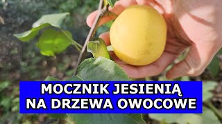 Kluczowy Oprysk Mocznikiem Jesienią Jesienne Opryski Drzew Owocowych Czym pryskać Drzewka Jesienią [upl. by Aseram]