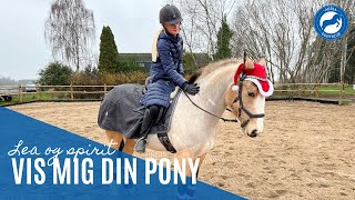 🐴 Vis mig din pony Lea og Spirit 🐴 [upl. by Kerman]