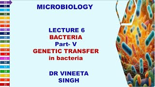 Unlocking Bacterial Secrets Conjugation Transformation and Transduction [upl. by Aillicirp105]