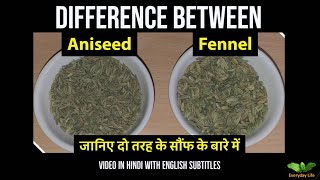 Difference between Aniseed and Fennel  Sauf  दो तरह के सौंफ पतली और मोटी सौफ  Everyday Life 81 [upl. by Papst]