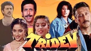 Tridev Full Movie in Hindi explain Facts  Sunny Deol  Naseeruddin Shah  Jackie S  Madhuri Dixit [upl. by Adnohsar]