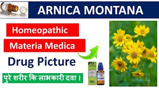 Arnica Montana homeopathic medicine Drug pictureMateria Medica homoeopathyarnica materiamedica [upl. by Ysac773]