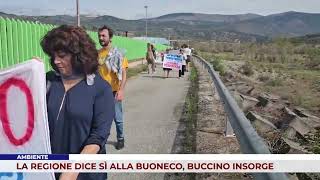 AMBIENTE LA REGIONE DICE SÌ ALLA BUONECO BUCCINO INSORGE [upl. by Hannan]