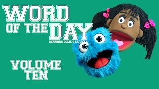 Fluffy Friends  Word of the Day Volume 10 [upl. by Enilatan]