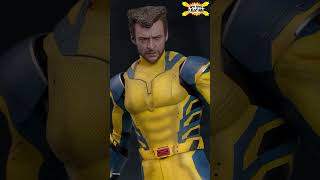 WOLVERINE 🐺␥ HOT TOYS Deadpool amp Wolverine deadpool wolverine [upl. by Atinus472]