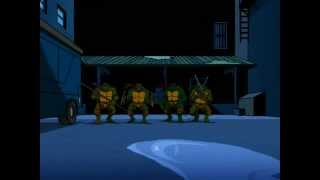 Teenage Mutant Ninja Turtles 2003 Things Chang  Season 1  Episode 1 [upl. by Sladen]