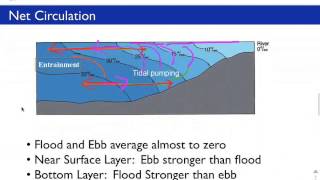 Estuary Classification [upl. by Annaeirb]