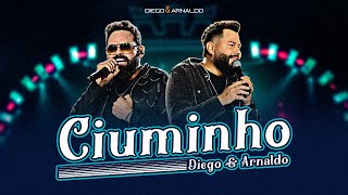 Diego e Arnaldo  Ciuminho Videoclipe Oficial [upl. by Nigle]