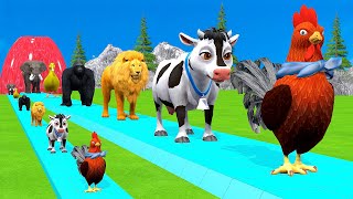 Paint amp Animals CowGorrilaElephantSheepDeerTiger Fountain Crossing Transformation Cartoon [upl. by Ettevey900]