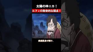 太陽の神ニカ！ルフィの致命的な弱点！ ワンピース onepiece [upl. by Elnukeda]