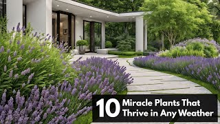 Top 10 Miracle Plants That Thrive in Any Weather [upl. by Yralam]