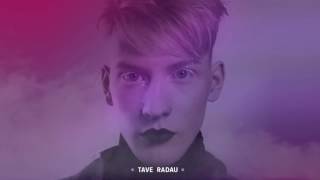 Silvester Belt  TAVE RADAU Official Audio [upl. by Landes167]