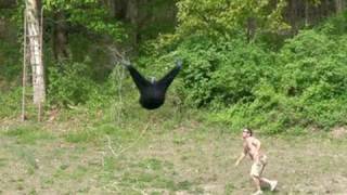 FLYING SASQUATCH CAUGHT ON VIDEO [upl. by Brey775]