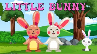 little bunny 🐇🐰Hop Little Bunnies  Sing A Longanimal songtoddlerpreschoolkindergarten rhymes [upl. by Mordecai]