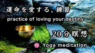 【20分瞑想】ヨガ音楽「運命を愛する、練習」【Japanese meditation Yoga】quotpractice of loving your destinyquot [upl. by Atteyram]