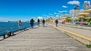 Toronto 🇨🇦 4k  Cedarvale Park to Harbourfront Canoe  HTO Beach [upl. by Mohandas]