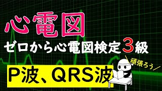 ゼロから心電図検定3級 【P波、QRS波】【波形の高さ、幅、順序】【不整脈のイメージ】 [upl. by Akkire]