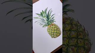 Colored Pencil Drawing of a Pineapple artsupplies coloredpencils drawing [upl. by Enitsirt936]