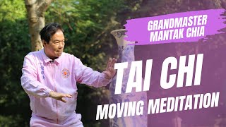 The Inner Alchemy of Tai Chi Qigong with Tao Grandmaster Mantak Chia Energy cultivation practice [upl. by Gnud]