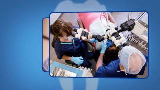 Endodontic Retreatment Explained [upl. by Nived]