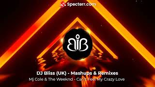 DJ Bliss UK Remix  MJ Cole amp The Weeknd  Cant Feel My Crazy Love [upl. by Burget]