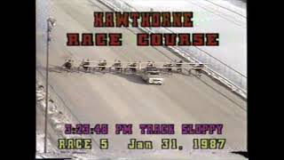 1987 Hawthorne Race Course PROMISE [upl. by Suiravad464]