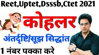 कोहलर का अंतर्दृष्टि सिद्धांतInsight learning theory महत्वपूर्ण प्रश्नो के साथ [upl. by Aryn332]