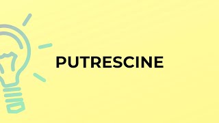 What is the meaning of the word PUTRESCINE [upl. by Loydie]