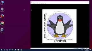 KNOPPIX install in virtualbox [upl. by Mosera]