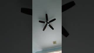 Hunter Oakhurst 52quot LowProfile Ceiling Fan in My Room [upl. by Ornstead]