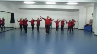 IL BALLO DI SIMONE REMIX NUOVO BALLO DI GRUPPO 2017 COREO GIGI ARENA DANCE RBL [upl. by Llerdnad590]