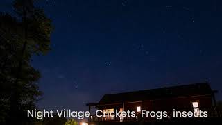 Night Ambience crickets frogs insects [upl. by Giorgia]